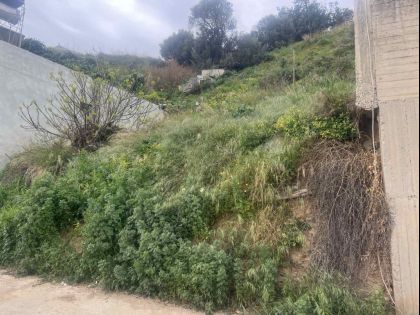 ΡΟΔΙΑ