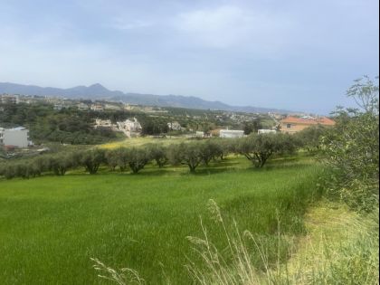 ΓΟΥΡΝΕΣ ΤΕΜΕΝΟΥΣ