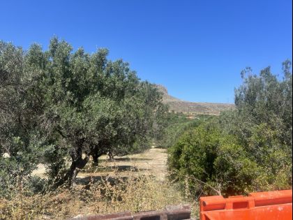 ΓΟΥΡΝΕΣ ΠΕΔΙΑΔΟΣ