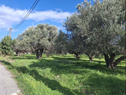 ΙΕΡΑΠΕΤΡΑ