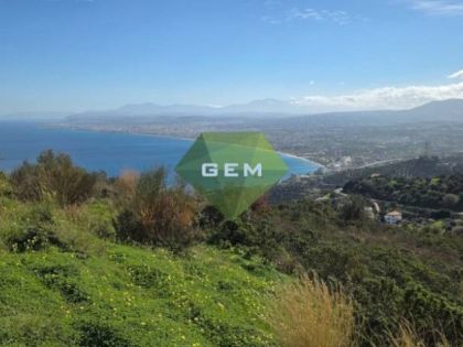 ΡΟΔΙΑ