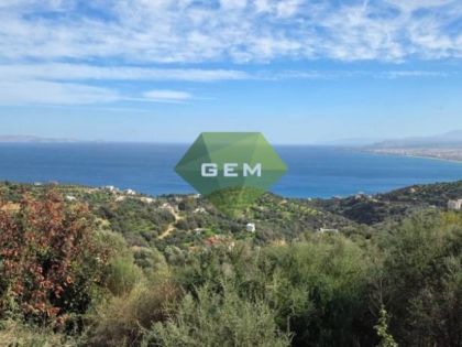 ΡΟΔΙΑ