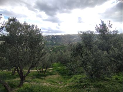 ΚΟΡΑΚΟΒΟΥΝΙ