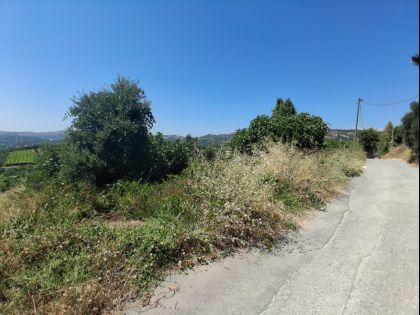 ΚΟΥΝΑΒΟΙ