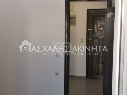 ΚΑΜΙΝΙΑ