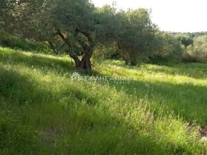 ΑΡΚΑΛΟΧΩΡΙ-ΑΓΙΑ ΣΕΜΝΗ