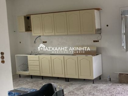 ΖΑΡΟΣ