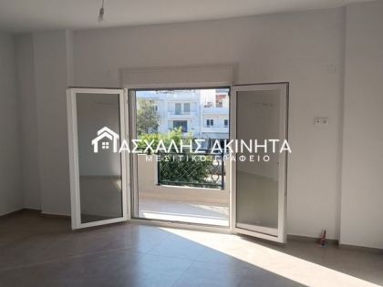 ΚΑΜΙΝΙΑ