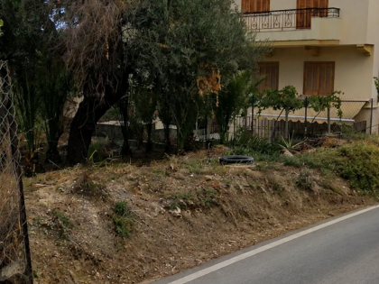 ΜΕΣΑΜΠΕΛΙΕΣ