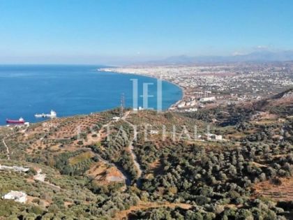 ΡΟΔΙΑ