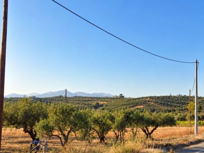 ΑΓΙΟΣ ΙΩΑΝΝΗΣ (ΚΑΡΤΕΡΟΥ)