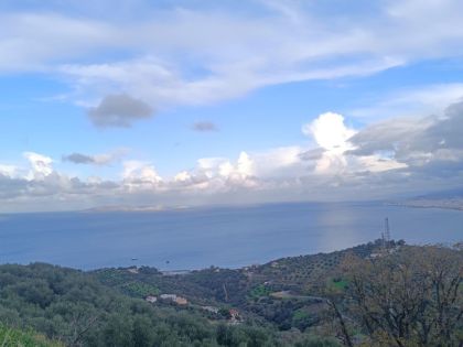 ΡΟΔΙΑ