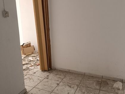 ΑΛΙΚΑΡΝΑΣΣΟΣ: