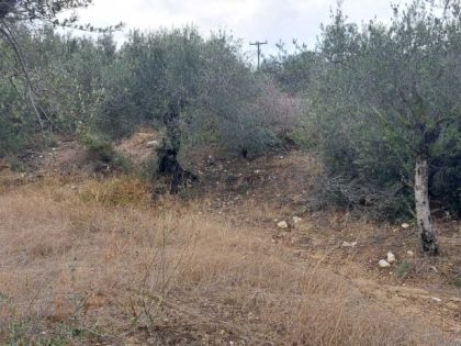 ΣΚΑΛΑΝΙ