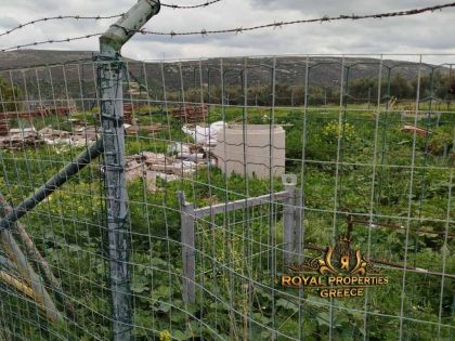 ΑΓΙΟΣ ΙΩΑΝΝΗΣ ΚΝΩΣΟΥ