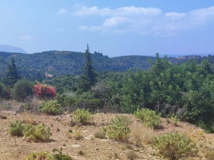 ΔΟΥΛΙΑΝΑ ΧΑΝΙΑ