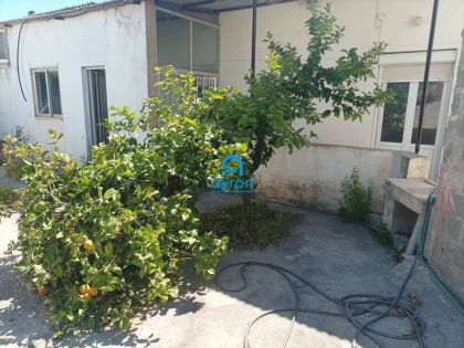 ΑΛΙΚΑΡΝΑΣΣΟΣ