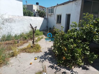 ΑΛΙΚΑΡΝΑΣΣΟΣ