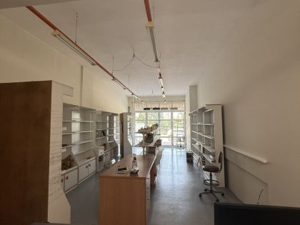 ΧΡΙΣΤΟΜΙΧΑΛΗ ΞΥΛΟΥΡΗ