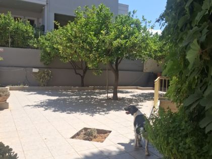 ΒΑΣΙΛΕΙΕΣ
