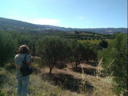 ΣΗΤΕΙΑ: