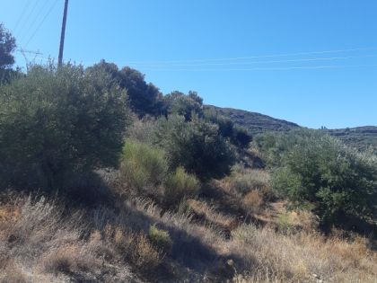 ΝΕΑ ΠΡΑΙΣΟΣ