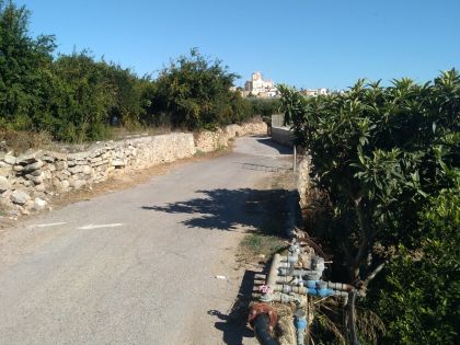 ΠΙΣΚΟΚΕΦΑΛΟ