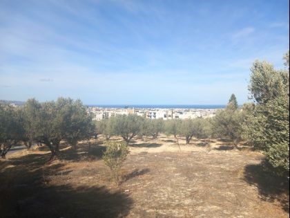 ΜΕΣΑΜΠΕΛΙΕΣ