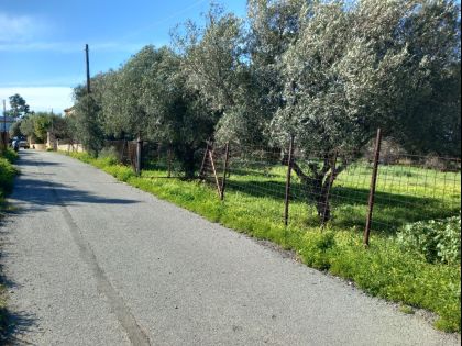 ΤΣΑΛΙΚΑΚΙ