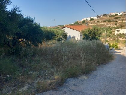 ΕΛΙΑ