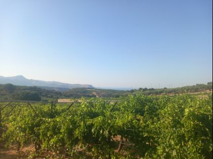 ΒΟΥΤΕΣ