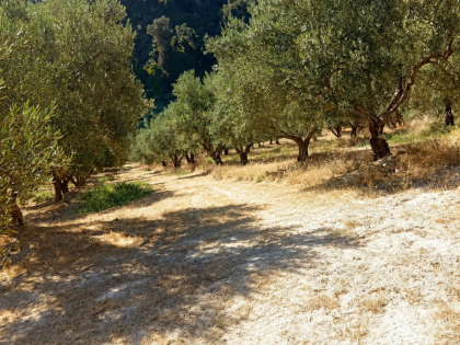 ΠΕΝΤΑΜΟΔΙ
