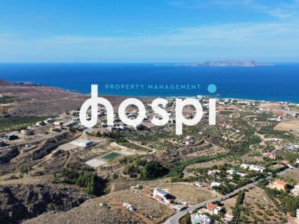 ΒΡΑΧΟΚΗΠΟΣ