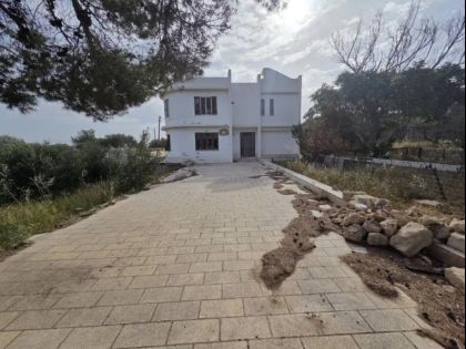 ΑΝΙΣΣΑΡΑΣ