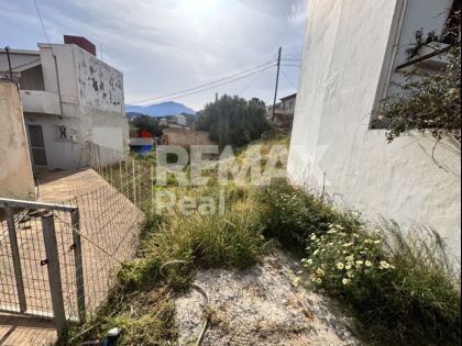 ΚΑΤΣΙΚΙΑ ΛΑΣΙΘΙ: