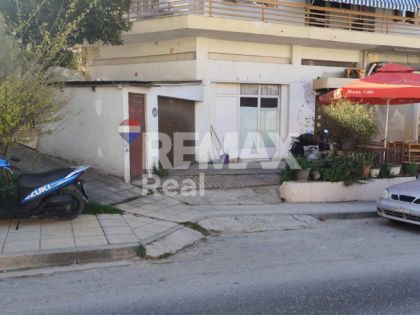 ΑΤΣΑΛΕΝΙΟ: