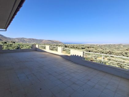 ΜΟΝΗ