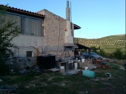 ΑΓΙΕΣ ΠΑΡΑΣΚΙΕΣ