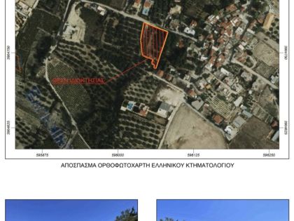 ΚΑΛΕΣΑ ΑΝΩ 