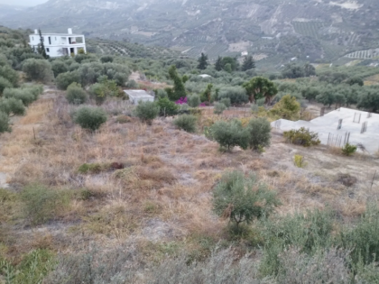 ΚΑΛΕΣΑ ΚΑΤΩ 