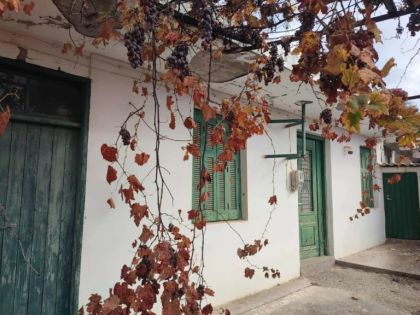 ΤΖΕΡΜΙΑΔΟ