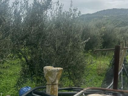 ΚΟΡΦΕΣ