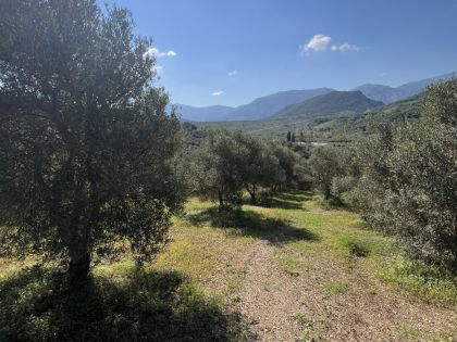 ΠΟΤΑΜΙΕΣ