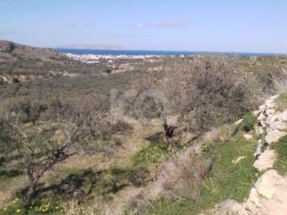 ΓΟΥΡΝΕΣ ΠΕΔΙΑΔΟΣ