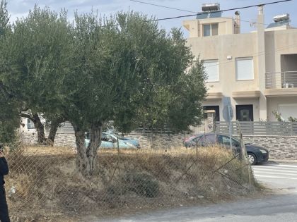 ΒΑΣΙΛΕΙΕΣ: