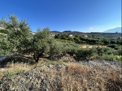 ΑΓΙΟΣ ΒΛΑΣΙΟΣ