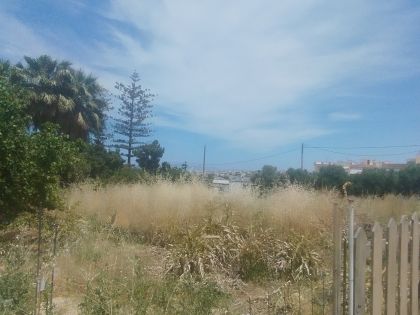 ΠΑΓΝΗ