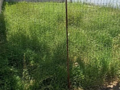 ΚΑΘΑΡΙΣΜΟΙ ΟΙΚΟΠΕΔΩΝ, ΧΟΡΤΩΝ ΚΑΙ ΑΥΛΩΝ: