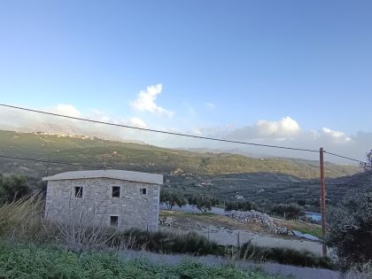 ΔΑΦΝΕΣ