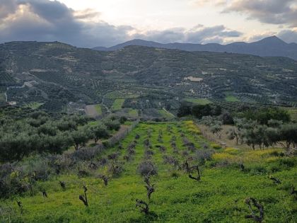 ΚΑΛΕΣΑ ΚΑΤΩ 